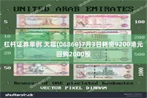 杠杆证券举例 天福(06868)7月3日耗资9200港元回购2000股