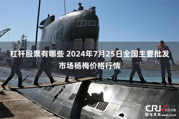 杠杆股票有哪些 2024年7月25日全国主要批发市场杨梅价格行情