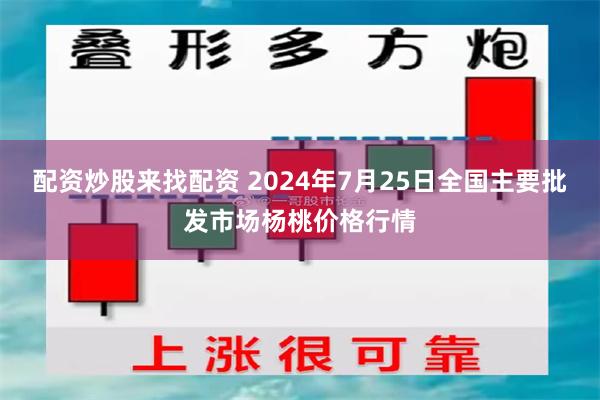 配资炒股来找配资 2024年7月25日全国主要批发市场杨桃价格行情