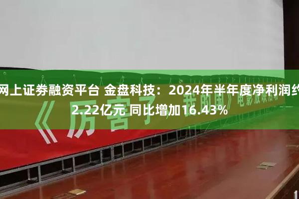 网上证劵融资平台 金盘科技：2024年半年度净利润约2.22亿元 同比增加16.43%