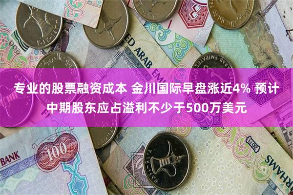 专业的股票融资成本 金川国际早盘涨近4% 预计中期股东应占溢利不少于500万美元