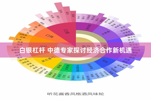 白银杠杆 中德专家探讨经济合作新机遇