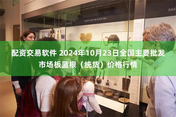 配资交易软件 2024年10月23日全国主要批发市场板蓝根（统货）价格行情