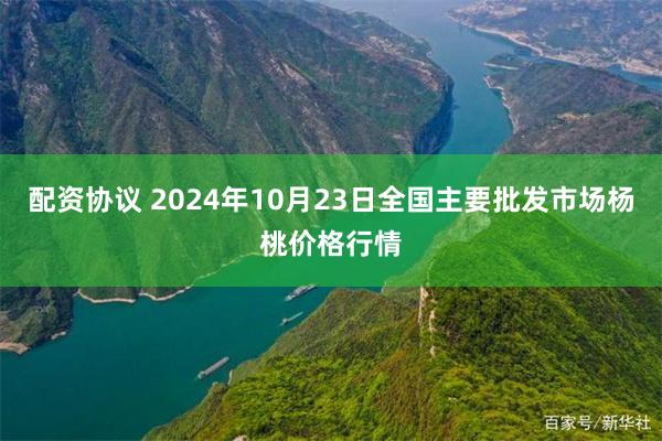 配资协议 2024年10月23日全国主要批发市场杨桃价格行情