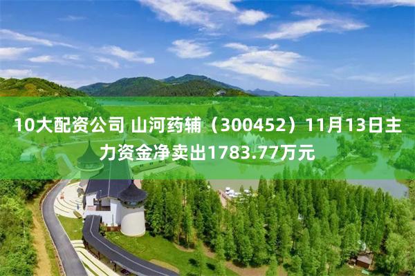 10大配资公司 山河药辅（300452）11月13日主力资金净卖出1783.77万元