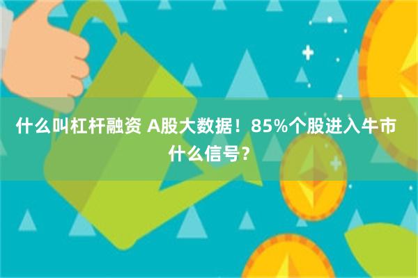 什么叫杠杆融资 A股大数据！85%个股进入牛市 什么信号？