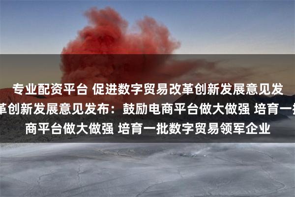 专业配资平台 促进数字贸易改革创新发展意见发布 促进数字贸易改革创新发展意见发布：鼓励电商平台做大做强 培育一批数字贸易领军企业