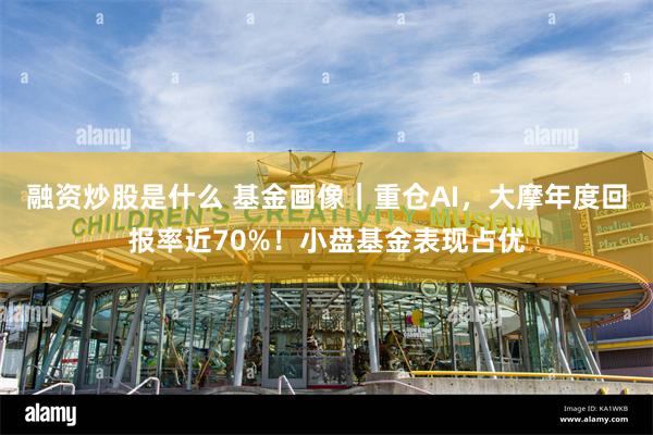 融资炒股是什么 基金画像｜重仓AI，大摩年度回报率近70%！小盘基金表现占优