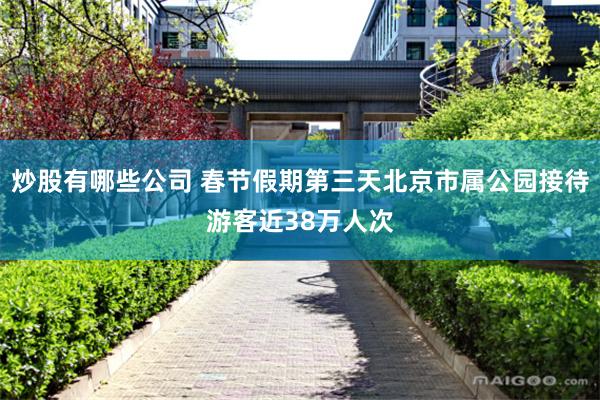 炒股有哪些公司 春节假期第三天北京市属公园接待游客近38万人次